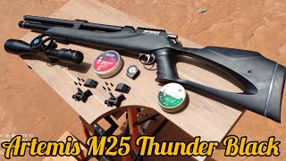 CARABINA PCP ARTEMIS M25 THUNDER BLACK CAL 55 CHUMBOS RIFLE DESTROYER E RIFLE ROUND 25M E 50M [upl. by Jaquiss859]