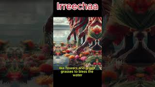 Irreecha Oromo Celebration 2024  Oromo Thanksgiving Festival Highlights [upl. by Dnalra]