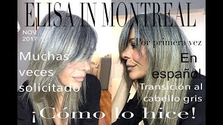 Canas Cómo pasé del pelo teñido a mi color natural  Elisa in Montreal [upl. by Sidnala494]