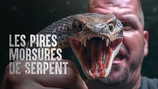 Comment survivre aux morsures de serpent les plus dangereuses [upl. by Mikaela928]