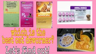 Paano magdeworm ng pusaDeworming cats using Natural home remedy and over the counter dewormer [upl. by Getter]