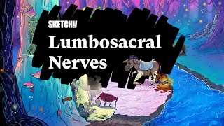 Exploring Lumbosacral Nerves amp Radiculopathy Types Part 1  Sketchy Medical [upl. by Ecnerolf]