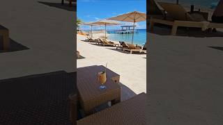 Sipping Mango Shakes in Cebus Beach Paradise at Sheraton Resort cebu [upl. by Ilrac]