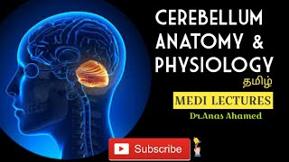 Cerebellum anatomy and physiology tamil [upl. by Nohs315]