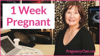 quot1 Week Pregnantquot by PregnancyChatcom PregChat [upl. by Hplar157]