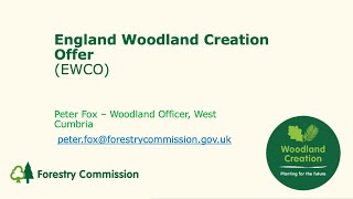 England Woodland Creation Offer EWCO [upl. by Harmon730]