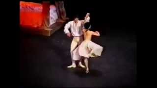 ROBERTO BOLLE and ALESSANDRA FERRI 2 LHistoire de Manon Act1 Scene2 [upl. by Ahtinak]