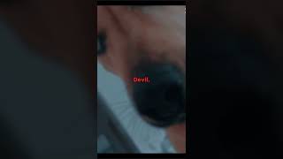 Devil🦋✨Dog youtube shorts devil [upl. by Aerdna]