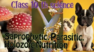 Saprophytic Parasitic Holozoic Nutrition life processes class 10 th science biologyvideo [upl. by Joanie]