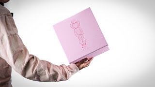 What You NEED to Know about KAWS  KAWS BFF PLUSH PINK UNBOXING [upl. by Lewendal141]