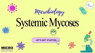 Systemic Mycoses Histoplasma Blastomyces Coccidioides Paracoccidioides  USMLE Microbiology [upl. by Loats]