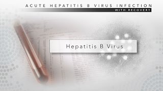 Hepatitis B CDC Viral Hepatitis Serology Training [upl. by Hujsak]