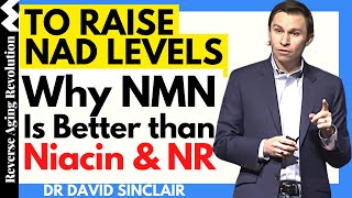 Why NMN Is Better than Niacin amp NR To Raise NAD Levels  Dr David Sinclair Interview Clips [upl. by Minerva]