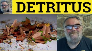 🔵 Detritus Meaning  Detritus Examples  Detritus  Vocabulary  Detritus [upl. by Wootan]