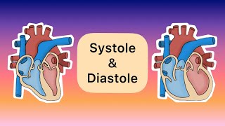 Systole und Diastole [upl. by Dorraj]