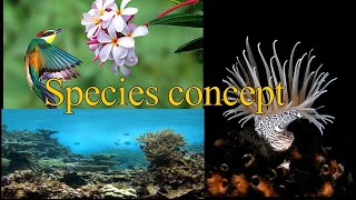 Species concept I Biologial I Morphological I Phylogenetic I Evolutionary I Phenetic I Polytypic [upl. by Adnahsat]