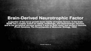 Medical vocabulary What does BrainDerived Neurotrophic Factor mean [upl. by Idorb]