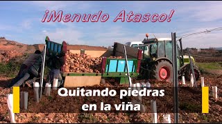 Quitando piedras en el viñedo ¡Menudo atasco [upl. by Yole]