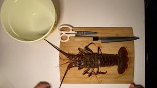 How to Clean and Devein a California Spiny Lobster [upl. by Eltsyrk909]