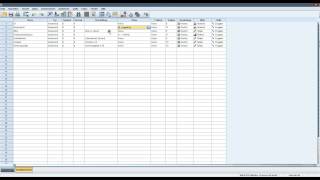 Korrelationen  Erläuterung amp Fallbeispiel mit SPSS [upl. by Annoiek326]