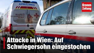 Stiegen hinabgestürzt  Attacke in Wien Auf Schwiegersohn eingestochen  kronetv NEWS [upl. by Assecnirp]