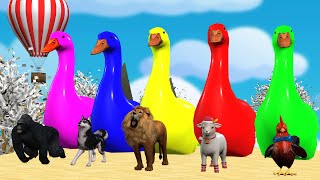 5 Giant Duck CartoonCowElephantTigerLionDinosaurPaint Wild Animals Crossing Fountain Animation [upl. by Ruthe]