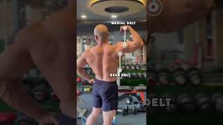 quot3 Best Shoulder Exercises for Medial amp Rear Deltsquot [upl. by Nnod]