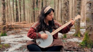 Wayfaring Stranger  Clawhammer Banjo Cover [upl. by Larkin]