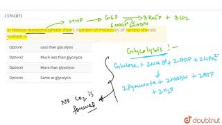 In hexose monophosphate shunt number of molecules of carbon dioxide evolved is [upl. by Nylynnej680]