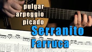 Pulgar  Arpeggio  Picado  Farruca by Victor Monge “Serranito”  Tabbed Falsetas [upl. by Isayg]