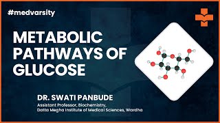 Case Discussion Metabolic Pathways of Glucose  MedvarsityOnlineLtd [upl. by Alanna201]