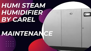 Humidifier  Maintenance  tank replacement  Carel  Humi Steam [upl. by Anirual]