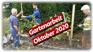 Gartenarbeit Oktober 2020  Himbeeren Tomaten Heckenschnitt [upl. by Gurias]