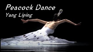 Yang Liping  The Soul of Peacock  Peacock Dance  Traditional Dance  HD 杨丽萍《雀之灵》完整版 高清 孔雀舞 傣族舞 [upl. by Carce]