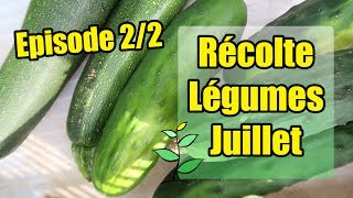 Récolte des Légumes en Juillet Episode 22 [upl. by Forkey]