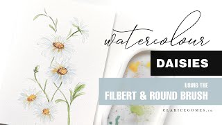 How to Paint Daisies in Watercolour  Hello Clarice Tutorials [upl. by Brit696]