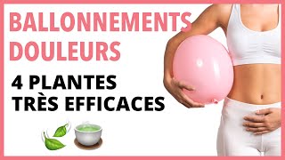 INTESTINS IRRITABLES  BALLONNEMENTS 4 PLANTES POUR SEN DÉBARRASSER [upl. by Cyndie]