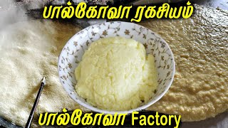 🔥பால்கோவா செய்வது எப்படி in Factory  Milk Kova Factory Making  Paalkova Recipe in Tamil [upl. by Sherborne]