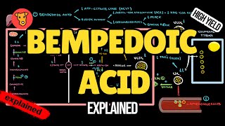 BEMPEDOIC ACID Mechanism of action Pharmacology of Lipid lowering drugs [upl. by Atteras]