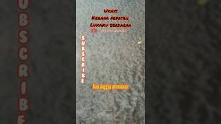 Ukays  kerana pepatah lukaku berdarah music lagumalaysia hits musik trending youtubeshorts [upl. by Katalin]