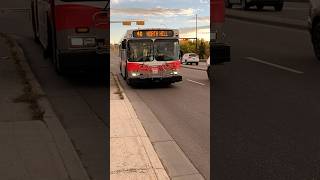 D40LF 8052 On Route 40 To North Hill transit shorts bus [upl. by Daryle965]