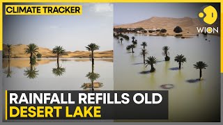 Water Gushes Through Sand Of Sahara  WION Climate Tracker  World News [upl. by Clair457]