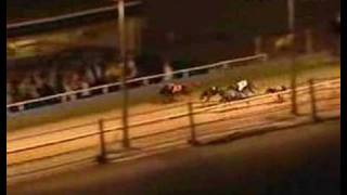 Westmead Hawk Greyhound Derby Final 2006 [upl. by Irihs268]