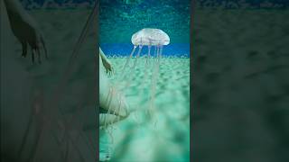 How A Jellyfish Actually Stings You 😱  Melon Playground jellyfish [upl. by Gish12]