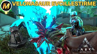 VELONASAUR EVCİLLEŞTİRME I ARK SURVİVAL EVOLVED EXTİNCTİON I BÖLÜM 6  MODSUZ [upl. by Rehprotsirhc]