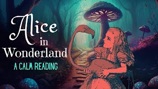 Reading of Alice in Wonderland  full audiobook  Story Reading for Sleep  Relaxing Reading [upl. by Lleddaw589]