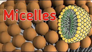 Micelles  Formation of Micelles  Role of micelles [upl. by Cousins]