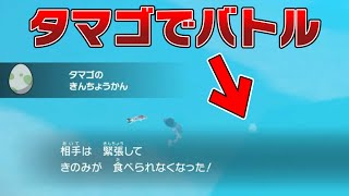 【メニューバグ】バトルで『タマゴ』を出すこともできるバグが可能性を秘めている【ポケモンSV バグ 検証 】 [upl. by Anaed]