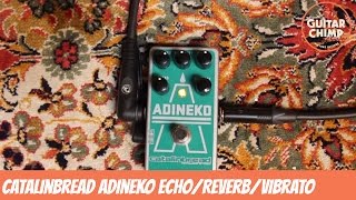 Catalinbread Adineko EchoReverbVibrato Review  How does it sound [upl. by Yv371]