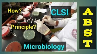 ABST test MicrobiologyAntibiotic Sensitivity TestAntibiotic Susceptibility TestingSTAR LABORATORY [upl. by Able]